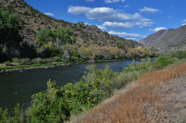 the low road to taos
